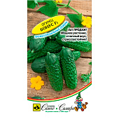Огурец Бонус F1 ЗС Улучшен Кураж Огурец Бонус F1 ЗС Улучшен Кураж