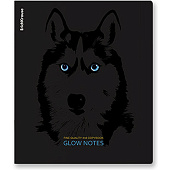 Тетрадь 48л. А5. Erich Krause, клетка, SoftTouch Gaze Mix-pack, 60619 Тетрадь 48л. А5. Erich Krause, клетка, SoftTouch Gaze Mix-pack, 60619