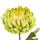 Искусственный цветок Хризантема, 13х13х75 см, 797524 Искусственный цветок Хризантема, 13х13х75 см, 797524