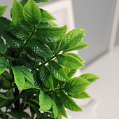 Искусственный цветок в горшке Ауакуба премиум, 20х9 см, 10455191 Искусственный цветок в горшке Ауакуба премиум, 20х9 см, 10455191