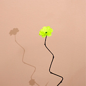 Интерьерный декор из бамбука, цветы пластик 200 см салатовый 7779953 Интерьерный декор из бамбука, цветы пластик 200 см салатовый 7779953