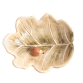  Блюдо Autumn forest 20х17 см, зеленое, Еж на листе ANLAF-FDWS-031224-13 