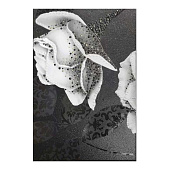 Декор 27.5х40 Монро 5 чер тип 2 /Беларусь Декор 27.5х40 Монро 5 чер тип 2 /Беларусь