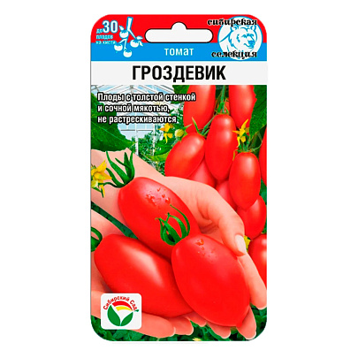 Томат Гроздевик, СибСад 