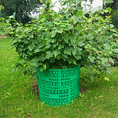 Защита кустов и деревьев, зеленый Защита кустов и деревьев, зеленый