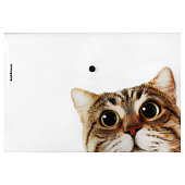 Папка на кнопке А4 ErichKrause Hiding Cats, с рисунком 160 мкм, ассорти, 61155