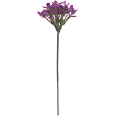  Лесная фиалка, 21 см, фиолетовый 