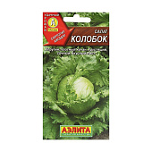 Салат Колобок кочанный тип Айсберг, Аэлита