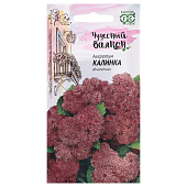 Агератум Калинка,  Гавриш