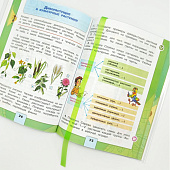 Закладки для книг самоклеящиеся, 12х376 мм, матово-лаймовые, 6 шт, 2921/6-133 Закладки для книг самоклеящиеся, 12х376 мм, матово-лаймовые, 6 шт, 2921/6-133