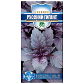 Базилик Русский гигант фиолетовый
