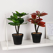 Искусственный цветок в горшке Кордилина комнатная, 10х24 см, микс, 10084558 Искусственный цветок в горшке Кордилина комнатная, 10х24 см, микс, 10084558