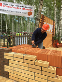  Кирпич керамический ваниль (бежевый) 1,4НФ 250х120х88мм [М200-250] /Копылово 