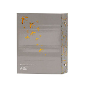 Фотоальбом на 36 фото 10х15 Фотография - форма терапии тиснение золото 3х125х165 10189304 Фотоальбом на 36 фото 10х15 Фотография - форма терапии тиснение золото 3х125х165 10189304