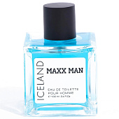  Туалетная вода Maxx Man Iceland мужская, 100 мл Delta Parfum 