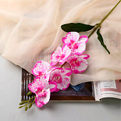 Цветы искусственные «Орхидея фаленопсис» премиум, 7?55 см, малиново-белые Цветы искусственные «Орхидея фаленопсис» премиум, 7?55 см, малиново-белые