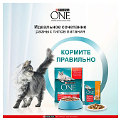 Влажный корм для кошек ONE Говядина с Морковью 75г