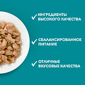 Влажный корм для кошек ONE STERIL Курица с Зелеными Бобами 75г