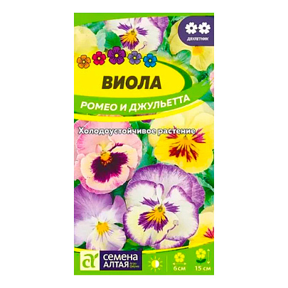 Виола Ромео и Джульетта, СА Виола Ромео и Джульетта, СА