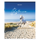 Тетрадь 80л. А5. Brauberg, скоба, клетка, обложка картон, By The Sea, 404410 Тетрадь 80л. А5. Brauberg, скоба, клетка, обложка картон, By The Sea, 404410