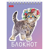 Блокнот А6, 40 л, Котики бывают разными, клетка, 40Б6В1гр Блокнот А6, 40 л, Котики бывают разными, клетка, 40Б6В1гр