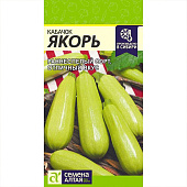 Кабачок Якорь СА Кабачок Якорь СА
