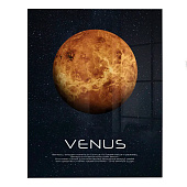 Картина стекло AG 40-224 Картина стекло AG 40-224