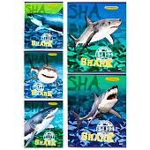 Тетрадь А5 48л скрепка клетка карт. обл. Акулы в море (80) /48-6073/ Тетрадь А5 48л скрепка клетка карт. обл. Акулы в море (80) /48-6073/