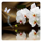 Весы напольные MAXTRONIC MAX-310 Весы напольные MAXTRONIC MAX-310