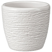 Горшок Гнездо №0. 0,34л, белый крокус Горшок Гнездо №0. 0,34л, белый крокус