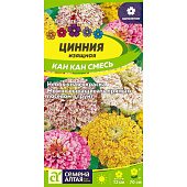  Циния Кан Кан изящная СА 