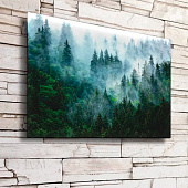 Картина стекло Туманный лес №2 50х70 Картина стекло Туманный лес №2 50х70