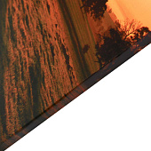 Картина Дерево, 60х100 см, 10236835 Картина Дерево, 60х100 см, 10236835