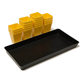 Набор для рассады: стаканы по 200 мл, поддон 36,5х17 см,Greengo Набор для рассады: стаканы по 200 мл, поддон 36,5х17 см,Greengo