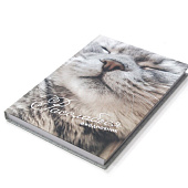 Ежедневник А5 128л Расслабься, офсет 70г/м2, ламинация, софт тач, печать по фольге, ЕЖФ25512821 Ежедневник А5 128л Расслабься, офсет 70г/м2, ламинация, софт тач, печать по фольге, ЕЖФ25512821