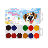  Краски медовые 12цв deVente, 30 г, без кисточки, с европодвесом, в картонном пенале, 8074101 