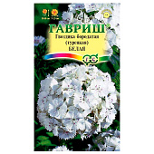 Гвоздика Белая турецкая бородатая Гавриш Гвоздика Белая турецкая бородатая Гавриш