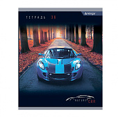  Тетрадь 36л. А5. клетка  Alingar  NATURE CAR 4 дизайна AL10358 