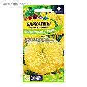 Бархатцы Лимонный принц СА Бархатцы Лимонный принц СА