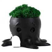 Кашпо бетонное Осминог со мхом, высота 7 см, d-6,5 см, черный, 10374753 Кашпо бетонное Осминог со мхом, высота 7 см, d-6,5 см, черный, 10374753
