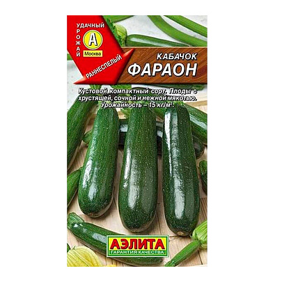  Кабачок Фараон, Аэлита 