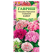 Гвоздика Байер турецкая бородатая махровая Гавриш Гвоздика Байер турецкая бородатая махровая Гавриш