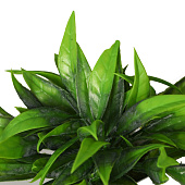 Искусственный цветок в горшке Сансевиерия элегант, 7х13 см, зелёный, 10325095 Искусственный цветок в горшке Сансевиерия элегант, 7х13 см, зелёный, 10325095