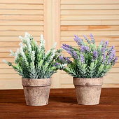 Искусственный цветок в горшке Сантолина, 10?22 см, МИКС Искусственный цветок в горшке Сантолина, 10?22 см, МИКС