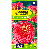 Цинния Волшебная Роза СА Цинния Волшебная Роза СА