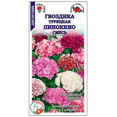  Гвоздика Турецкая Пиноккио ЗС 