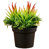  Искусственный цветок в горшке Суккуленты 6,5х11 см, микс 4453391 