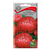 Астра Дюшес Красная пионовидная Поиск Астра Дюшес Красная пионовидная Поиск