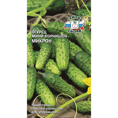 Огурец Микрон, Седек Огурец Микрон, Седек