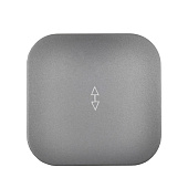 Выключатель накладной проходной 1 клавиша, цвет сталь, IEK GLORY Выключатель накладной проходной 1 клавиша, цвет сталь, IEK GLORY